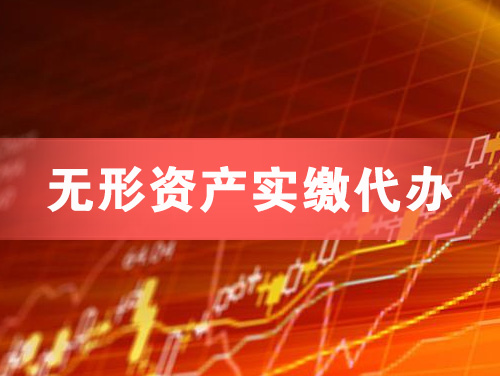 潞西无形资产实缴资本代办