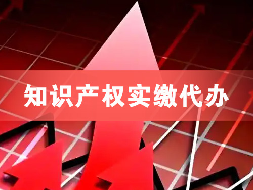 潞西知识产权实缴资本代办